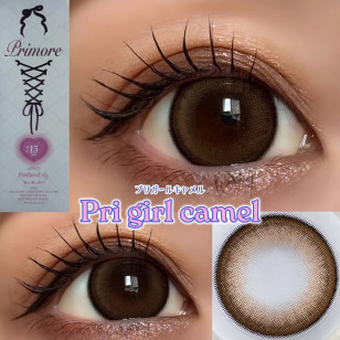 [1Day]Primore Pri Girl Camel プリモア プリガールキャメル